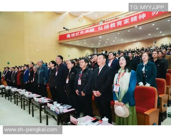 对话王静：回顾她的篮球生涯与成长历程的深度探讨